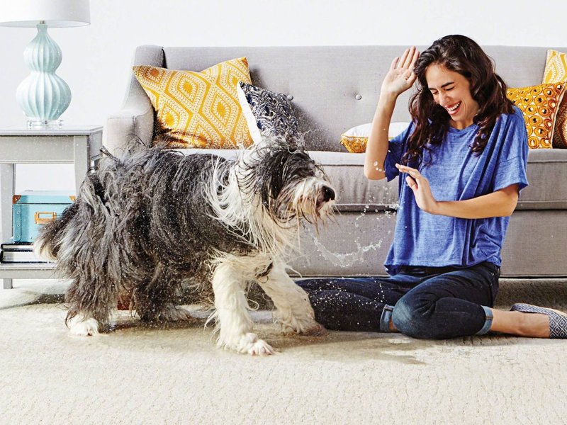 LifeGuard® carpet for living room from Carpet Studio & Design Inc. in Los Angeles