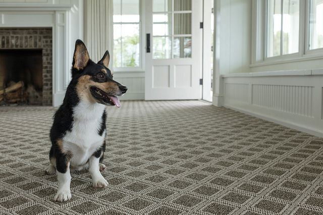 Anderson Tuftex carpet from Carpet Studio & Design Inc. in Los Angeles