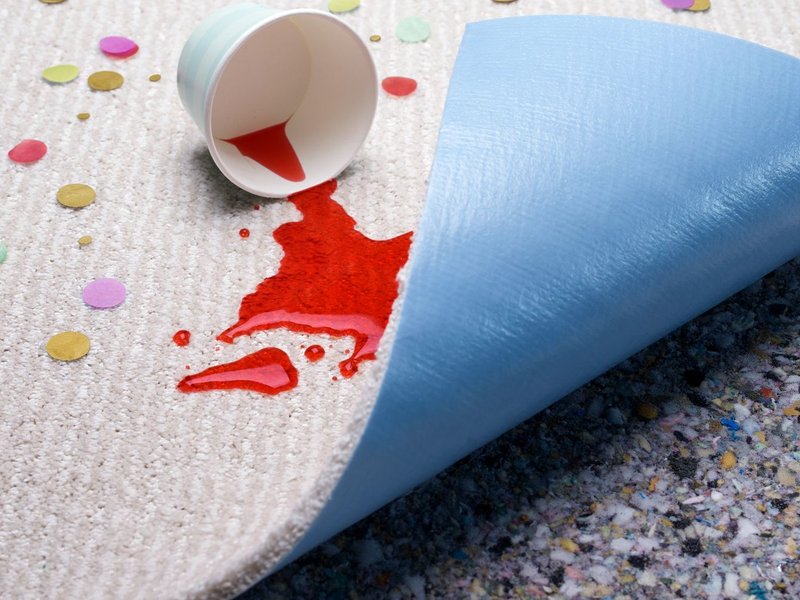 Bellera carpet easy to clean from Carpet Studio & Design Inc. in Los Angeles