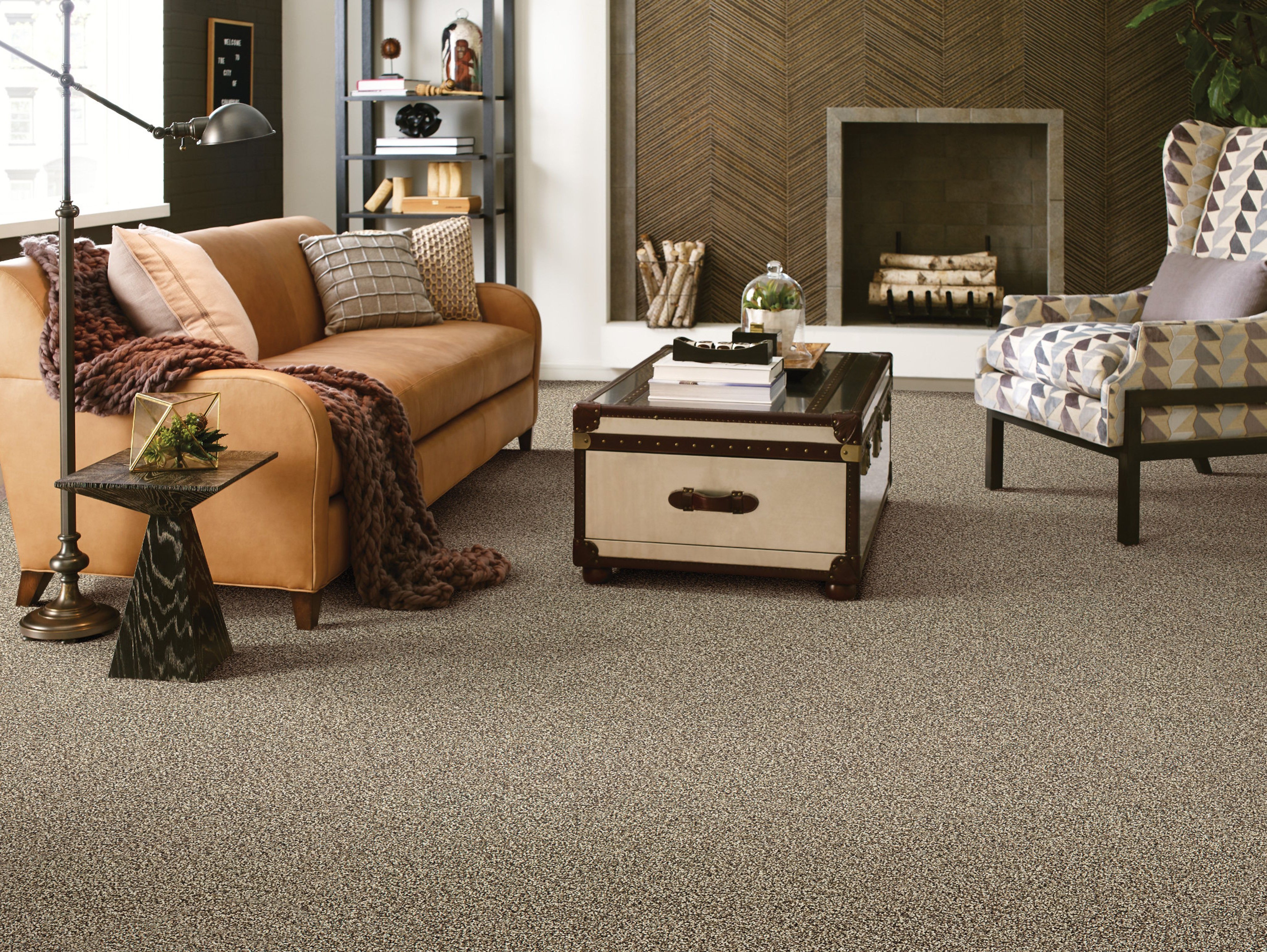 Cozy living room with brown carpet from Carpet Sudio & Design Inc. in Los Angeles, CA