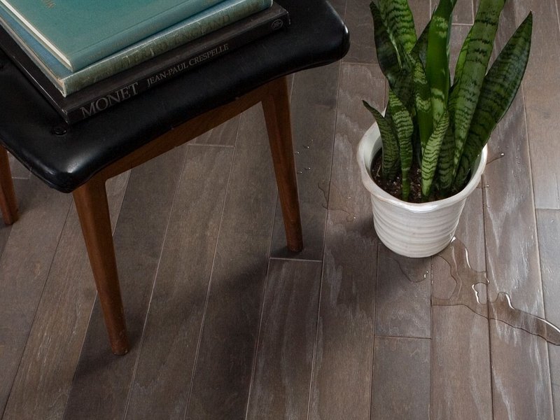 Repel Hardwood from Carpet Studio & Design Inc. in Los Angeles